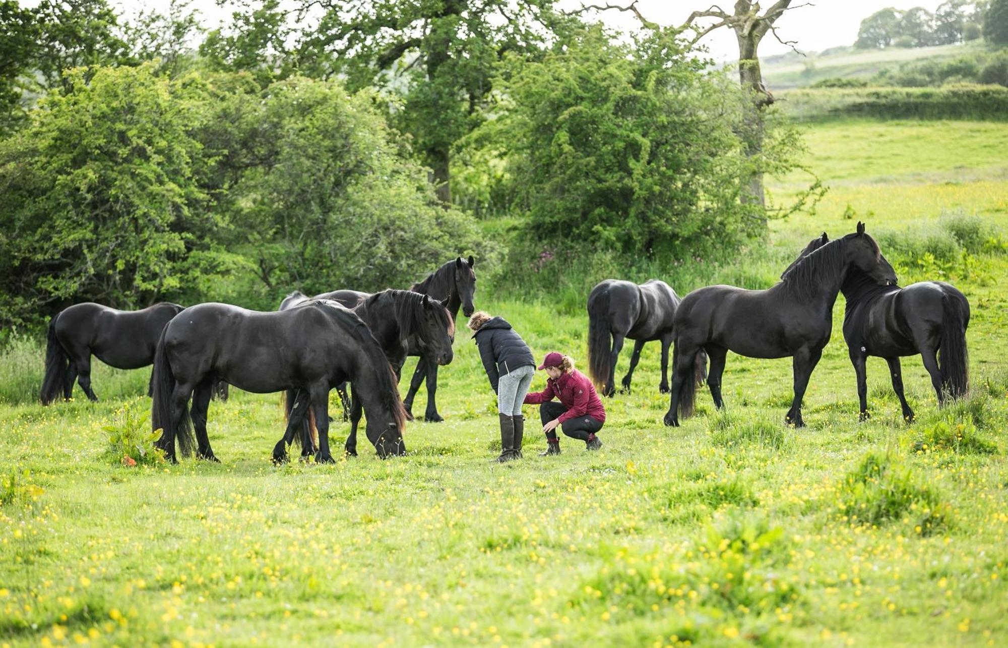 Greenbank Farm House Cartmel Luaran gambar