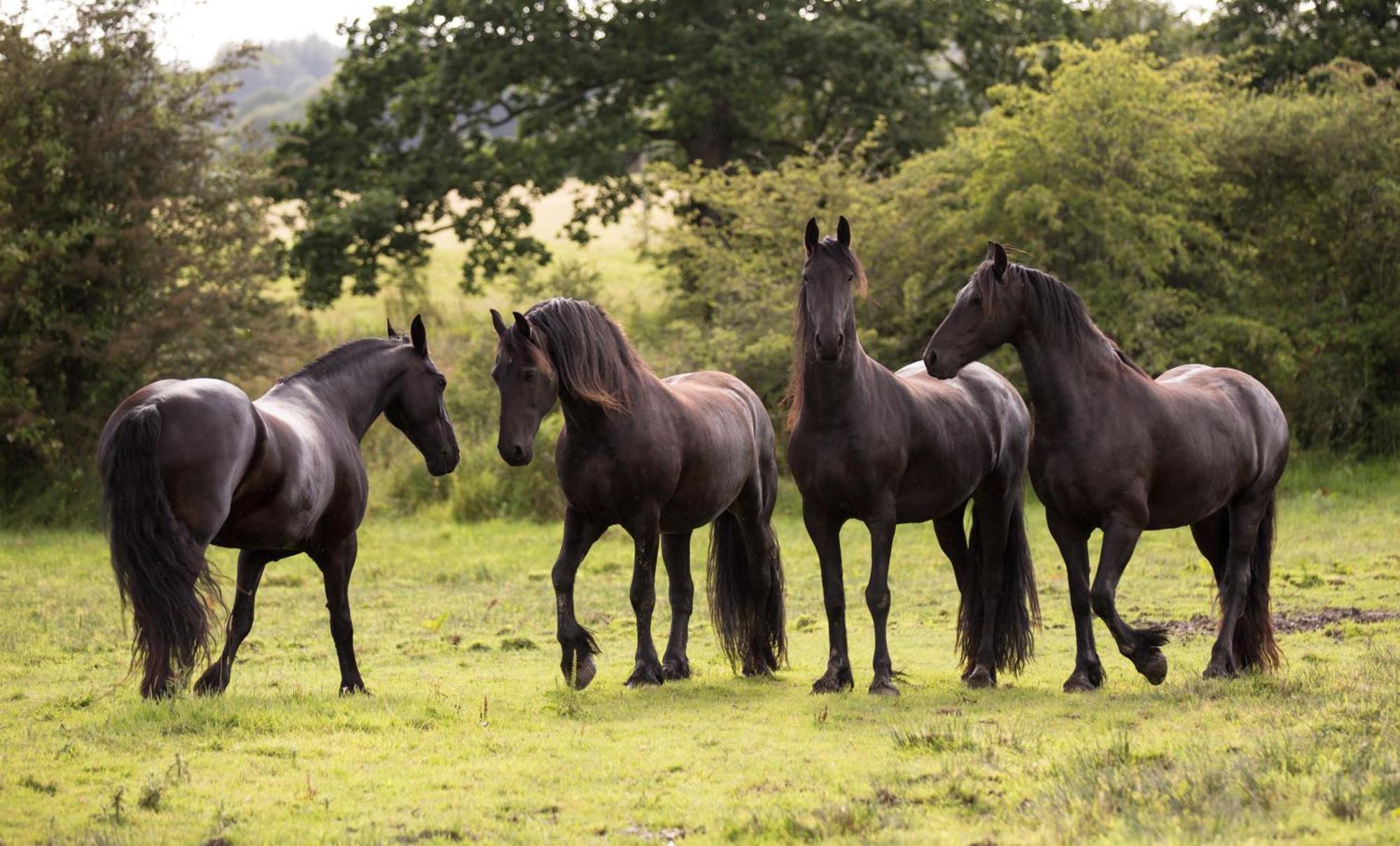 Greenbank Farm House Cartmel Luaran gambar